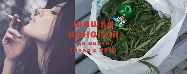 PSILOCYBIN Алзамай