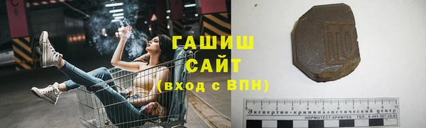 PSILOCYBIN Алзамай
