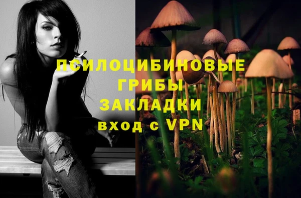 PSILOCYBIN Алзамай